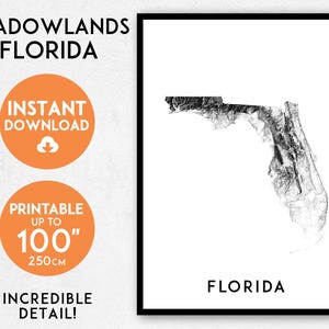 Shadowlands Florida kaart print, afdrukbare Florida kaart kunst, Florida print, Florida kunst, Florida poster, Florida kunst aan de muur print, Florida cadeau