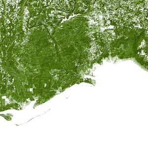 Forests of Florida poster print Physical Florida map print, Florida print, USA map, Florida art, Florida map art, Florida wall art print image 4