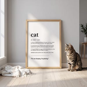 Peut inclure: Une affiche encadrée présentant une définition de style dictionnaire du mot chat, avec du texte noir sur fond blanc. Le texte inclut des définitions décrivant le comportement des chats et la citation, I'm not sleeping, I'm plotting.