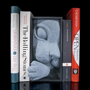 Cat’s Curiosity Book Nook – Cozy Miniature Bookshelf Insert | 3D Printed Cat Decor | Gift for Book Lovers | Whimsical Cat Scene
