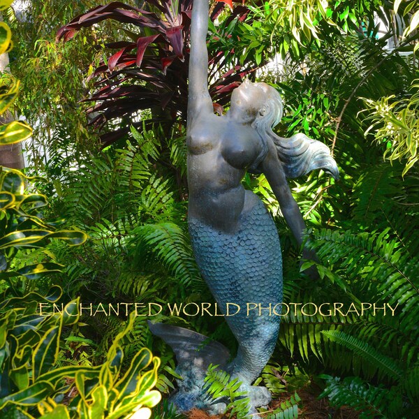 Mermaid photo, Mermaid gift, Key West Photography, Mermaid wall art, Mermaid decor, Tropical Mermaid