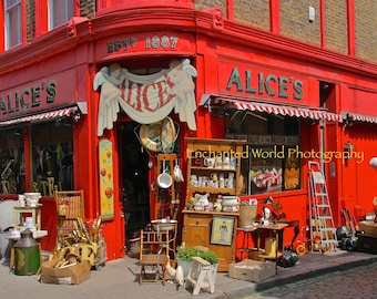 harry's pet shop portobello