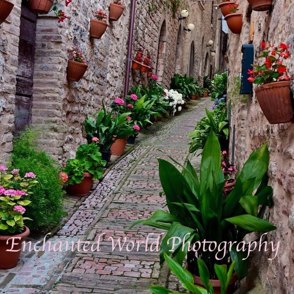 Italy Hill Town photo, Village of Flowers, Umbria Italy print, Charming Hill Town, Italy Photography, Spello Italy print, Cobblestone path