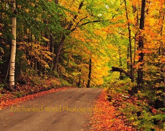 Vermont country road art, autumn foliage photo, New England fall photo, Vermont landscape print, Leaf peeping photo, New England photography