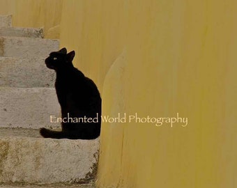 Black cat art print, Black Cat photo, Greek Island photography, Cat art print, Cat lover gift, Santorini photo, Greek cat photo, Greek Isles