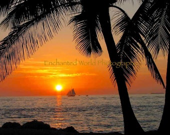 Key West Sunset photo, Palm tree photo, Palm tree wall art, beach house decor, Florida Keys photography, nautical art, Florida gift