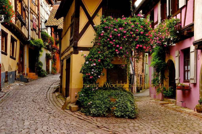 Route du vin print Alsace France Framed Canvas photograph photo of France Eguisheim print French village scenes French wall decor