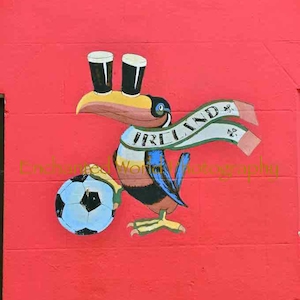 Guinness art print, Pub art, Sports art, Ireland gift, Soccer lover gift, bar decor, Game room decor, photo of Ireland, Irish pub print image 1