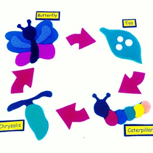 Butterfly Life Cycle Felt Set**Homeschool Science/Charlotte Mason/Montessori**