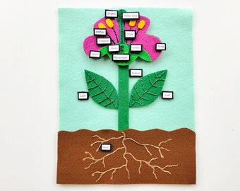 Parts of a Flower Felt Set/Homeschool Science/Montessori/Charlotte Mason/Felt Board