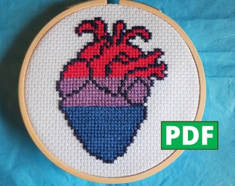 Bi Anatomical Heart PDF Cross Stitch Pattern for Instant Download