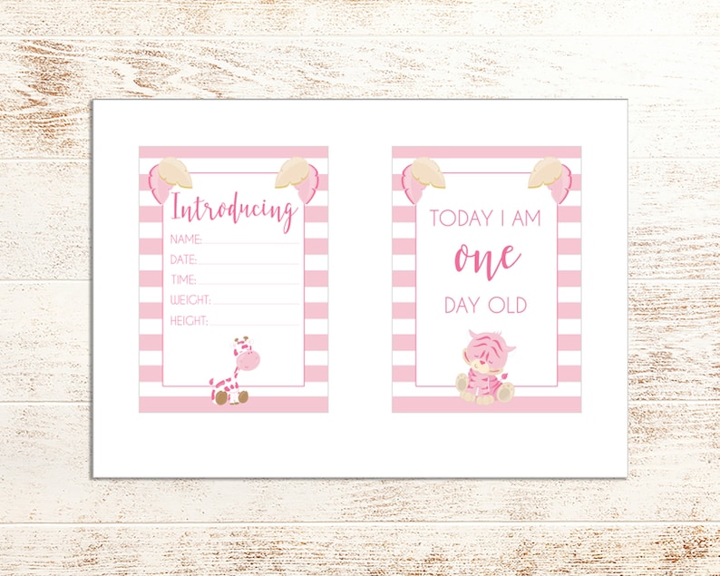 DIGITAL Download Monthly Milestones Printable Baby Milestone Cards 30 Milestones Pink Animal Baby Milestone Cards