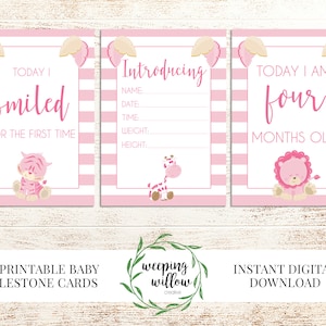 Cartes imprimables bébé jalon - jalons mensuels - cartes jalon bébé animal rose - 30 jalons - téléchargement numérique