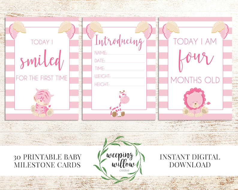 DIGITAL Download Monthly Milestones Printable Baby Milestone Cards 30 Milestones Pink Animal Baby Milestone Cards