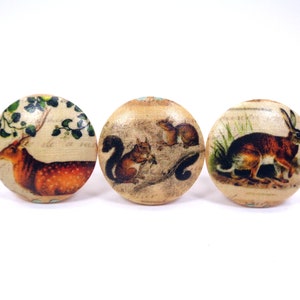 May include: Three round wooden knobs with vintage illustrations of a deer, a squirrel, and a rabbit. The knobs are beige with brown, green, and white accents.