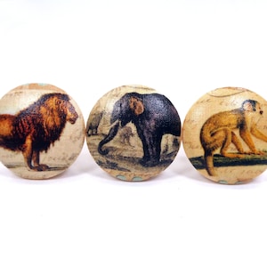May include: Three round wooden knobs with a vintage map design. Each knob features a different animal: a lion, an elephant, and a monkey.