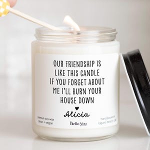 Gift for Best Friend Birthday Gift Best Friend Funny Candle Gift for Friend Moving Gift Our Friendship is Like This Candle
