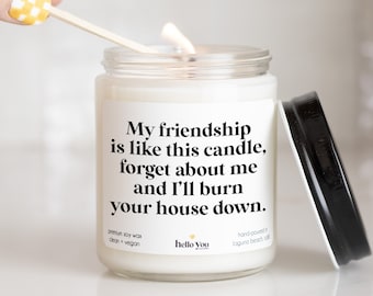 Friendship Gifts for Best Friend My Friendship is like this candle, forget about me and I'll burn your house down Personalized Candle Gifts