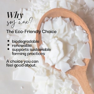 a wooden spoon filled with white, biodegradable soy wax, accompanied by text that explains why soy wax is considered an eco-friendly choice.
