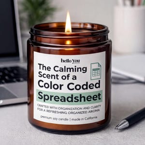 Funny Coworker Gift Spreadsheet Candle Office Gift for Accountant Bookkeeper Data Analyst Excel Lover