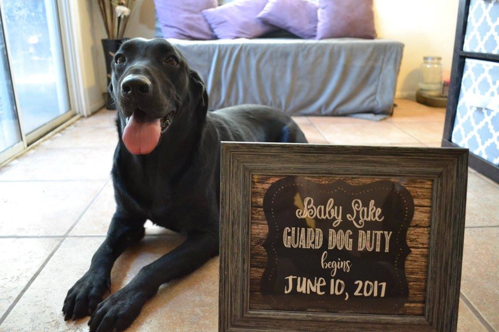 Printable Baby Announcement Sign Guard Dog Duty Dog Baby Etsy