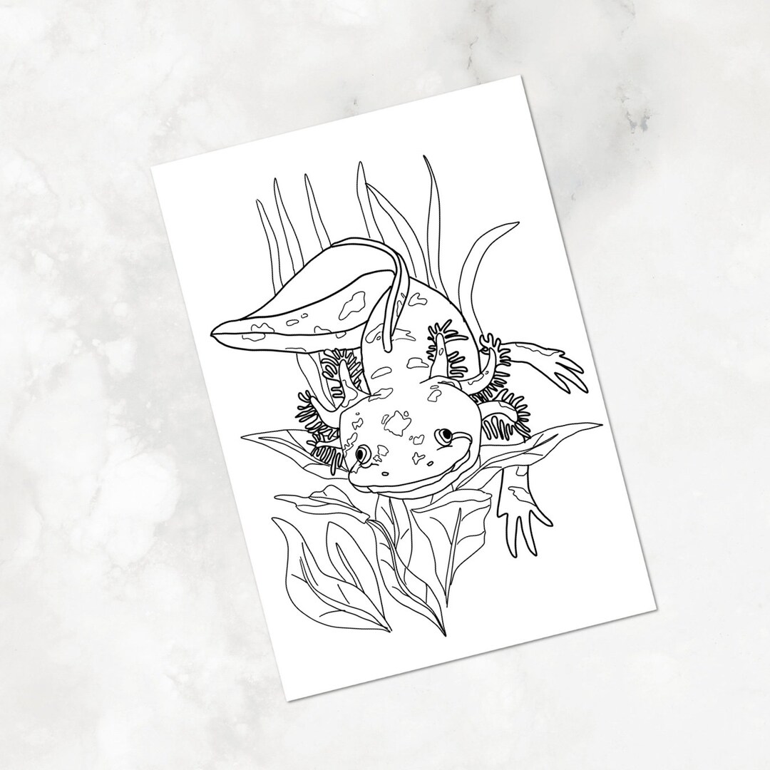 Axolotl Coloring Page, Printable Axolotl Coloring Page for Kids, Boys