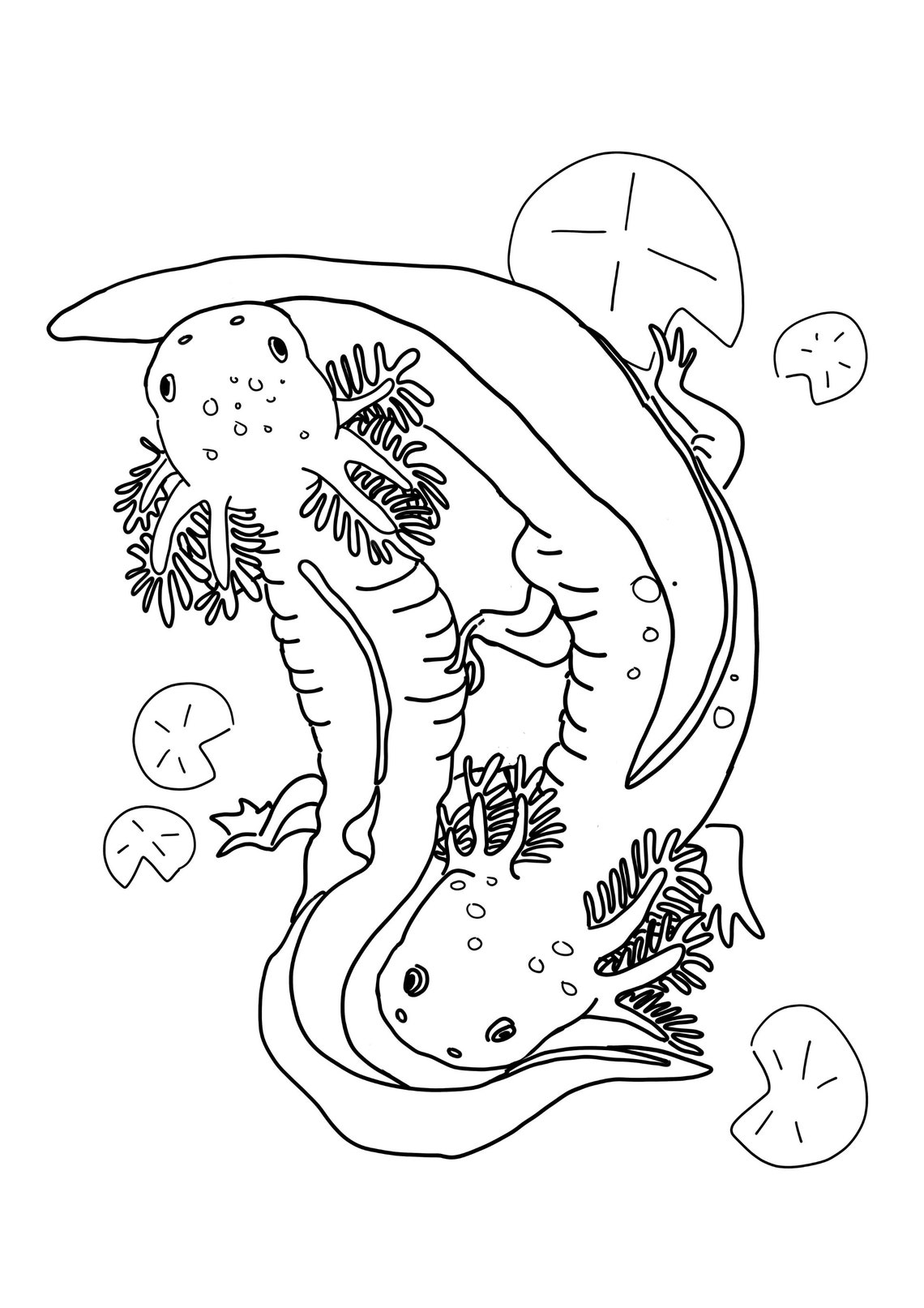 Axolotl Coloring Page Printable - Il 1140xN.4683931631 9jaw 
