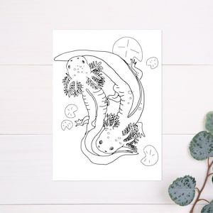 Axolotl Coloring Page, Printable Axolotl Coloring Page for Kids, Boys, Girls, Teens, Axolotl Birthday Party Activity, Instant Download