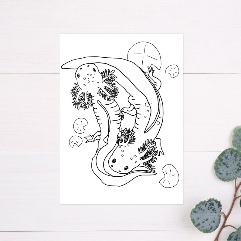 Axolotl Coloring Page, Printable Axolotl Coloring Page for Kids, Boys
