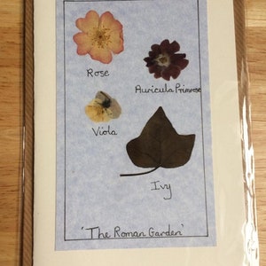 Carta di Fiori Pressato a mano 'Il Giardino Romano' Design