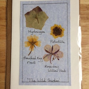 Handmade Pressed Flower Card 'The Wild Garden' Design