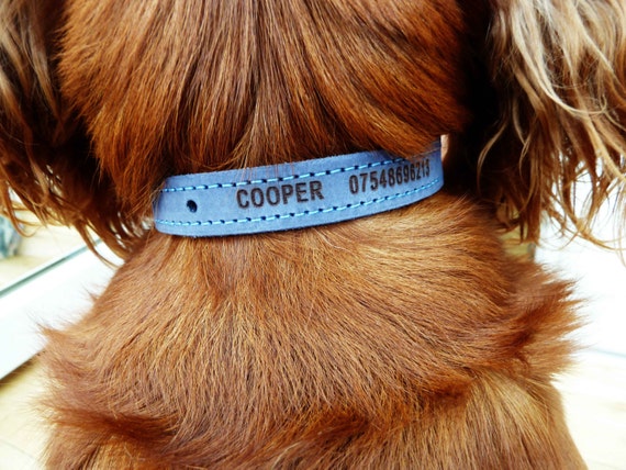 Personalised Dog Collar Leather Puppy Custom Collar Lasered Gift for Pet Best Friend Male Female Multiple Colour Strong Sustainable Leather Etsy UK