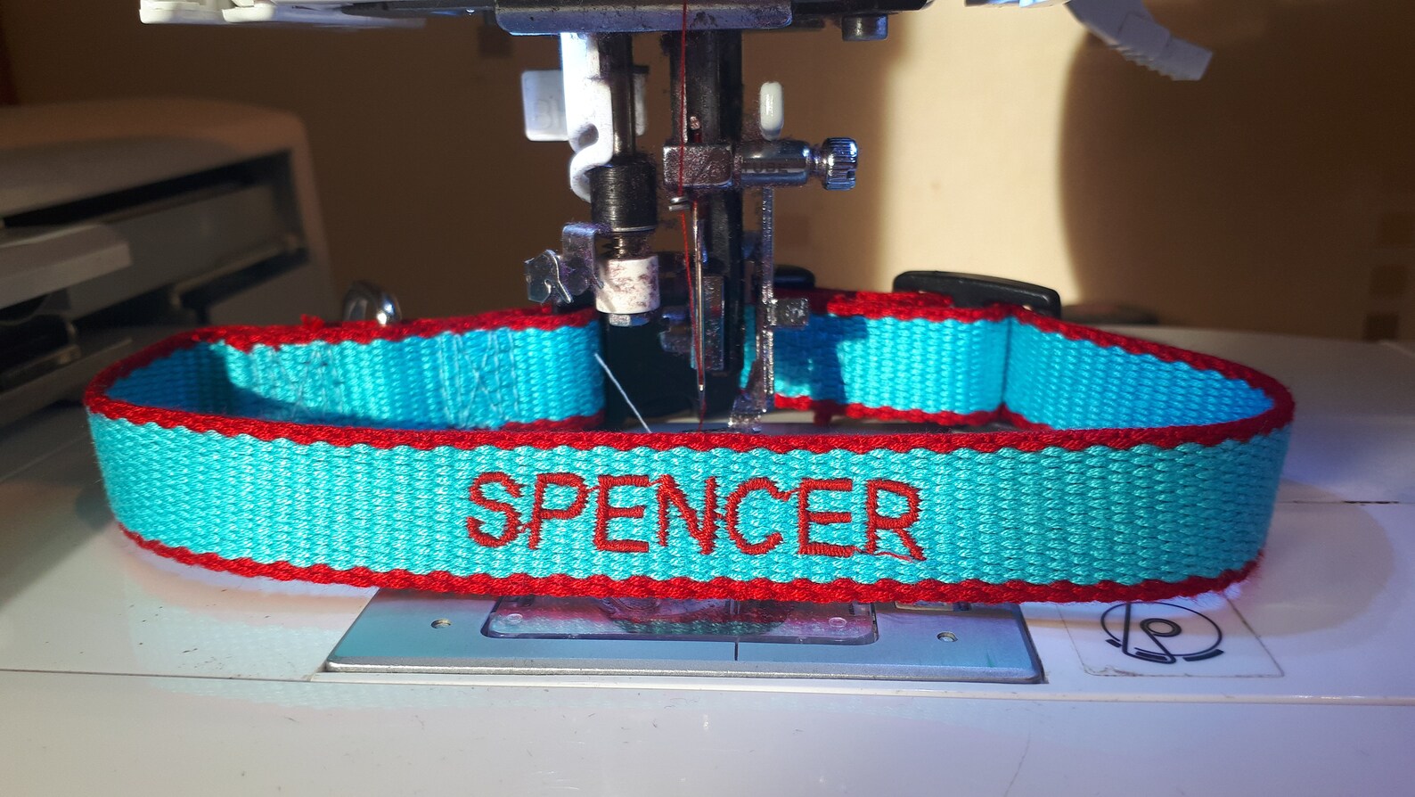 Personalised Dog Collar and Lead Set Made From Bamboo Fibre. Etsy UK