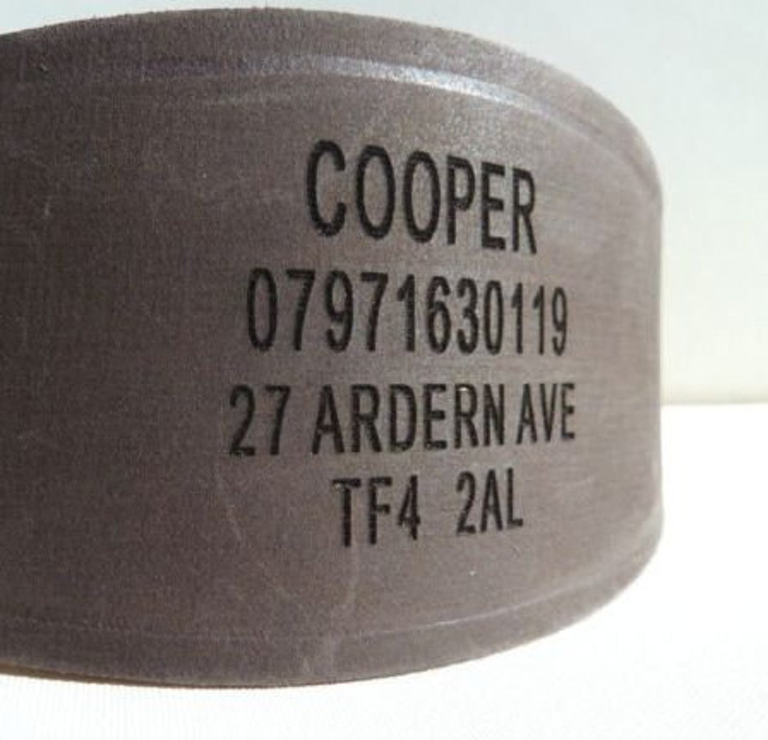 Personalised top lurcher collars