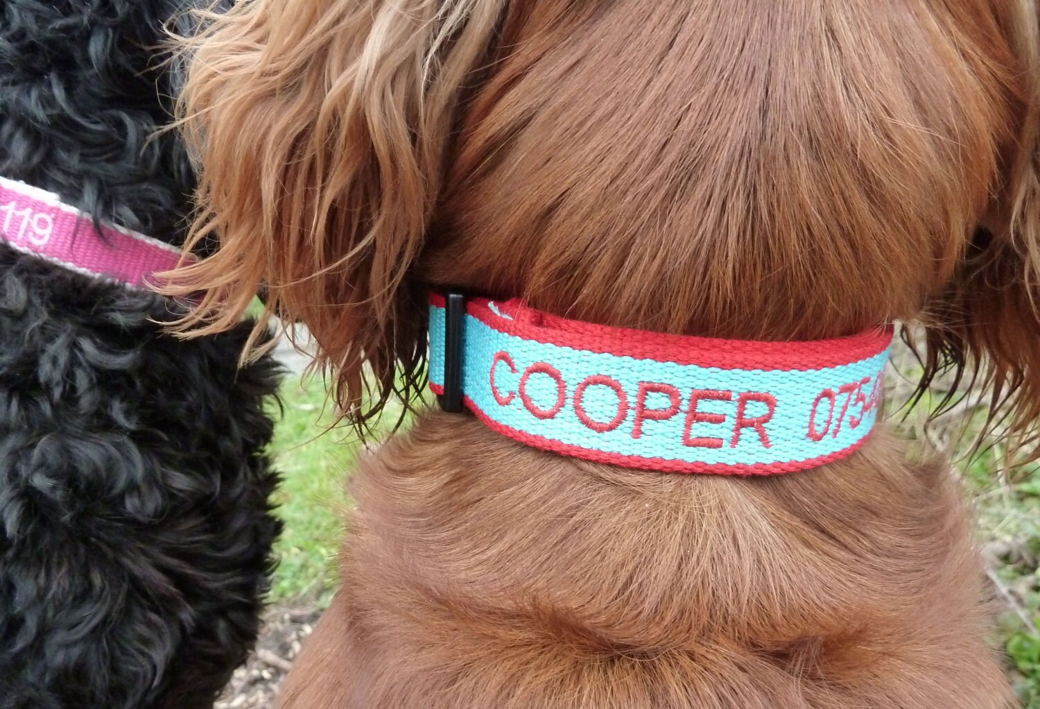Personalised Dog Collar Embroidered and Engraved made from Etsy