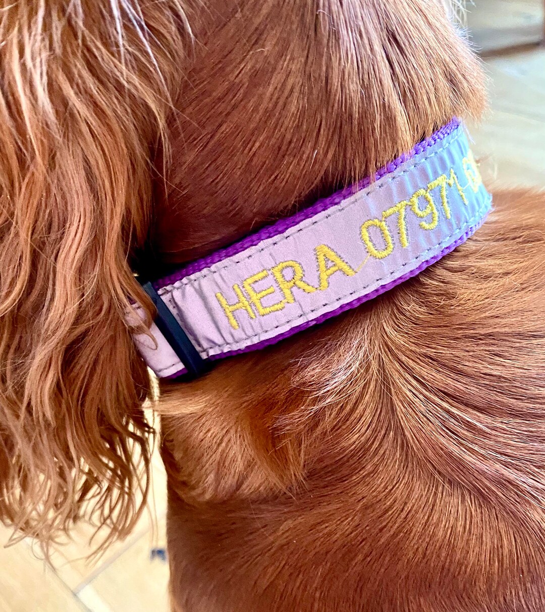 PRINTED DOG COLLAR FAIR VERONA main image 1