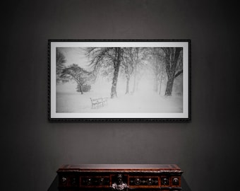 City of Carlisle Fine Art Photograph • Bitts Park • Unframed Print