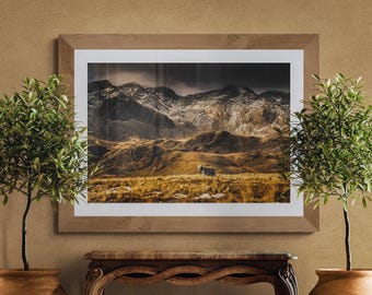 Lake District Fine Art Photograph • Herdwick Sheep before the Scafells • Unframed Print