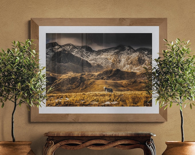 Lake District Fine Art Photograph • Herdwick Sheep before the Scafells • Unframed Print