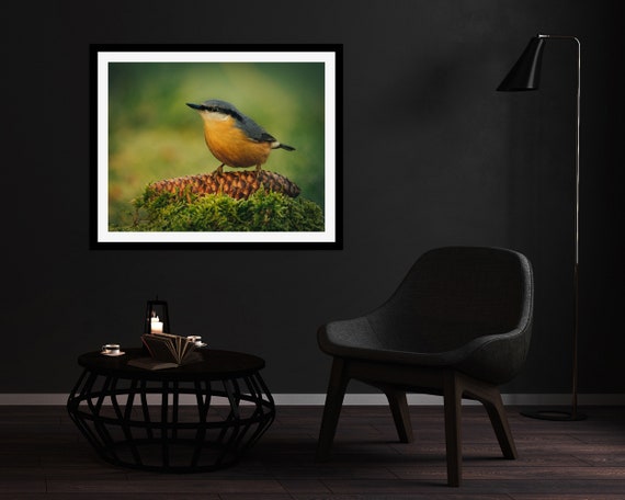 Nuthatch II - Photographic Print
