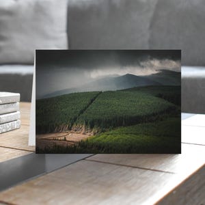 Scotland Greeting Card • Lee Pen beyond Traquair Forest