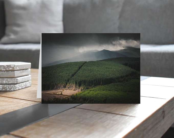 Scotland Greeting Card • Lee Pen beyond Traquair Forest