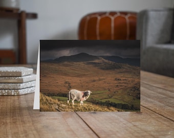 Lake District Greeting Card • Herdwick Sheep and Harter Fell