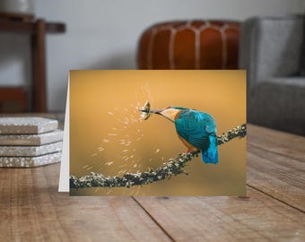 Kingfisher - Wildlife - Blank Greeting Card