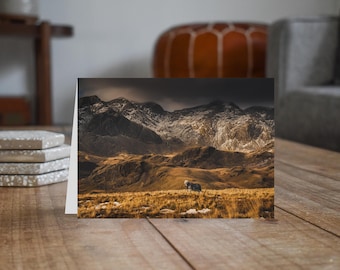 Lake District Greeting Card • Herdwick Sheep before the Scafells