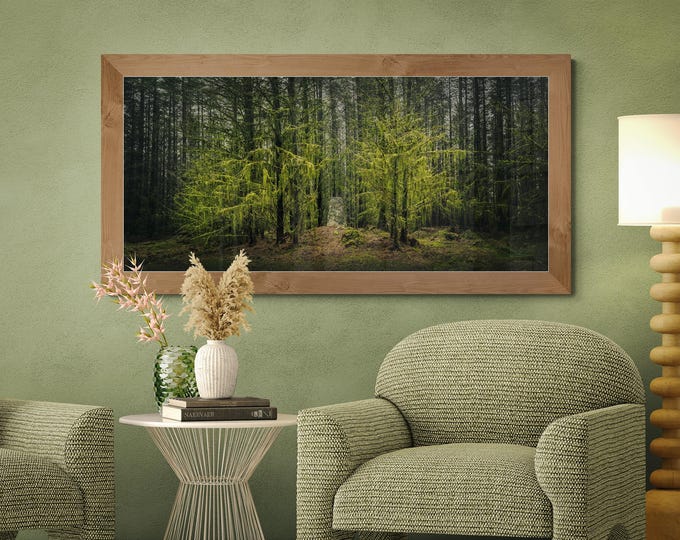 Scotland Fine Art Photograph • Brownmoor Wood • Unframed Print
