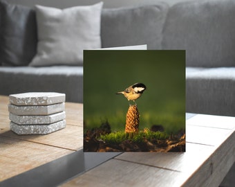 Coal Tit I - Wildlife - Blank Greeting Card