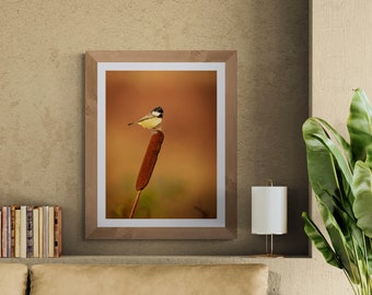 Nature & Wildlife Fine Art Photograph • Coal Tit II • Unframed Print