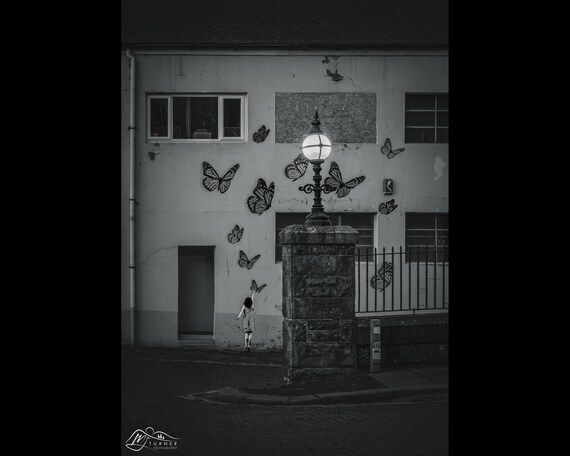 Bush Brow I, City of Carlisle - Photographic Print