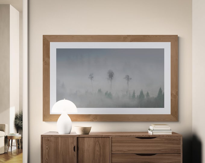 Scotland Fine Art Photograph • Mabie Forest II • Unframed Print